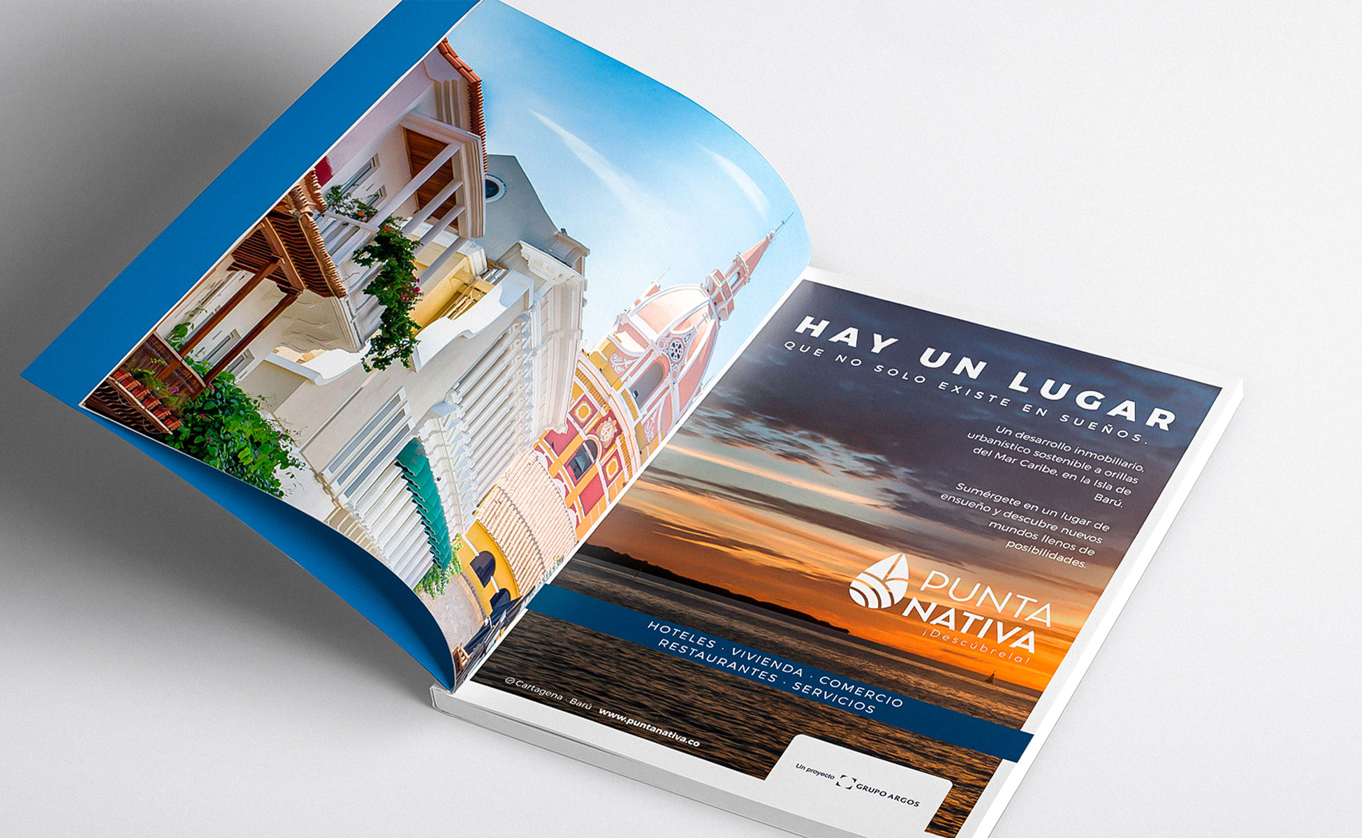 PUNTA-NATIVA-REVISTA-Unidad